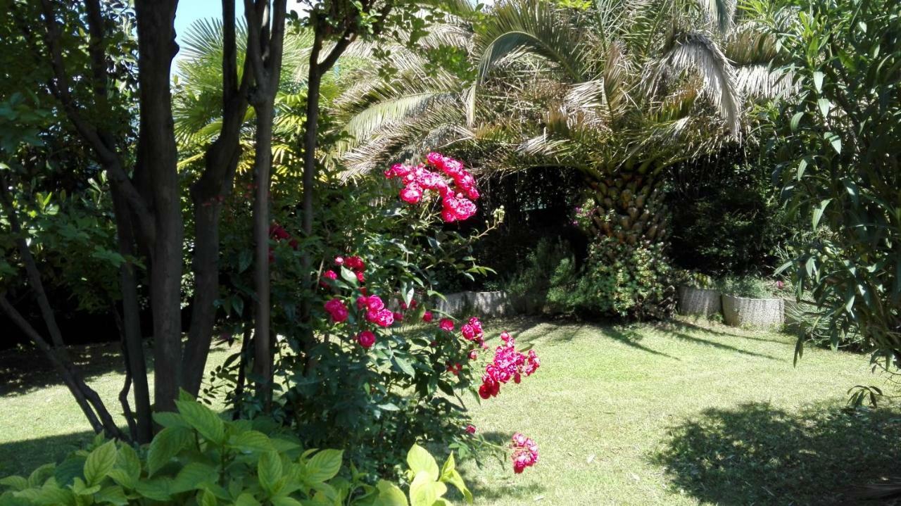 Appartamento Giardino Sugli Ulivi Riva del Garda Bagian luar foto