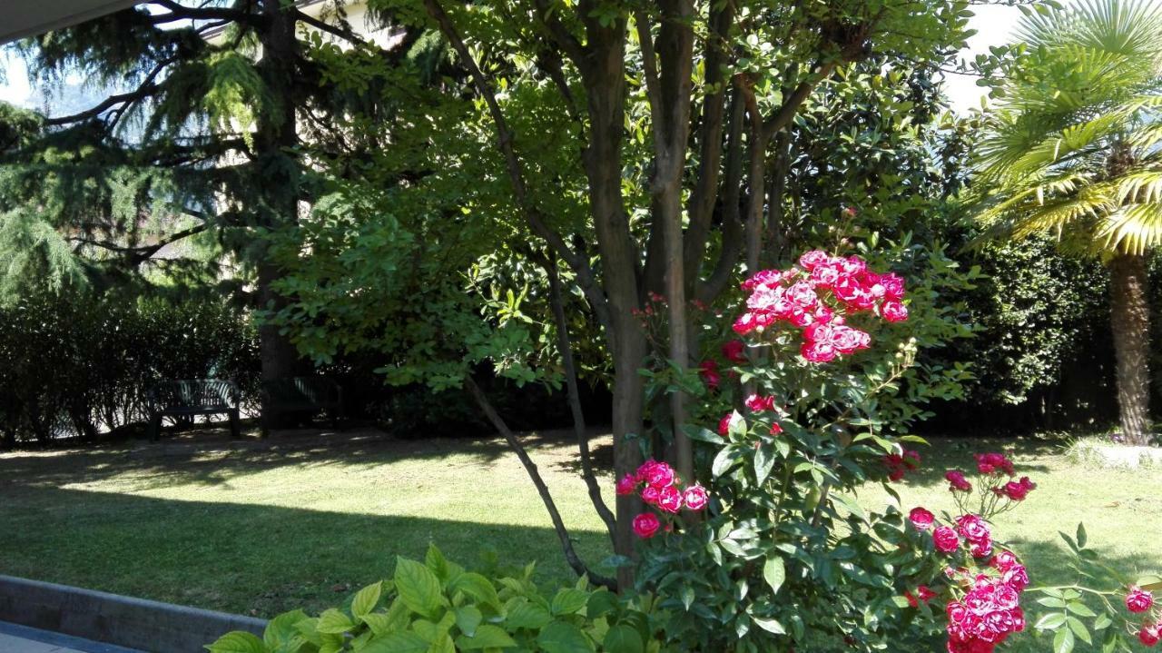 Appartamento Giardino Sugli Ulivi Riva del Garda Bagian luar foto