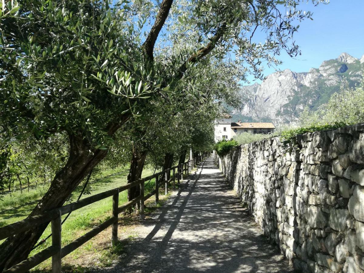 Appartamento Giardino Sugli Ulivi Riva del Garda Bagian luar foto